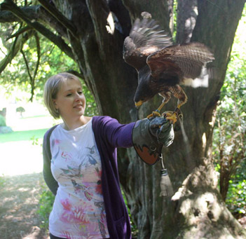 Fray Falconry - Chiseldon Swindon